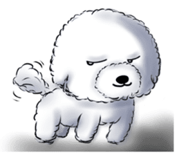 Everything about Bichon Frise "Noobie" sticker #6883452