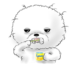 Everything about Bichon Frise "Noobie" sticker #6883453