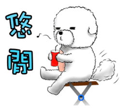 Everything about Bichon Frise "Noobie" sticker #6883455