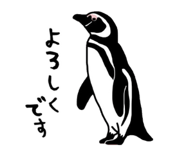 A little polite Penguins sticker #6885944