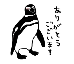 A little polite Penguins sticker #6885945