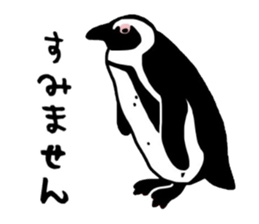 A little polite Penguins sticker #6885946