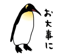 A little polite Penguins sticker #6885949