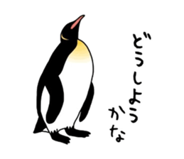 A little polite Penguins sticker #6885953