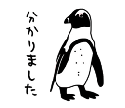 A little polite Penguins sticker #6885954