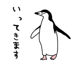 A little polite Penguins sticker #6885960
