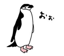 A little polite Penguins sticker #6885964