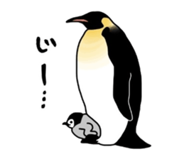 A little polite Penguins sticker #6885965