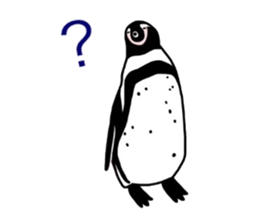 A little polite Penguins sticker #6885967