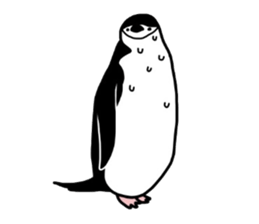 A little polite Penguins sticker #6885972
