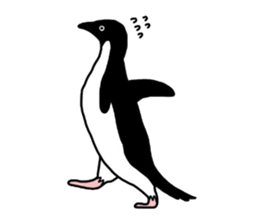 A little polite Penguins sticker #6885973