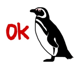 A little polite Penguins sticker #6885982
