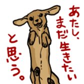 Surreal system dog sticker sticker #6888192