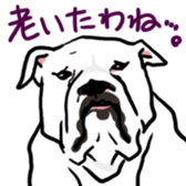 Surreal system dog sticker sticker #6888200