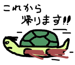 turtle boy sticker #6888345