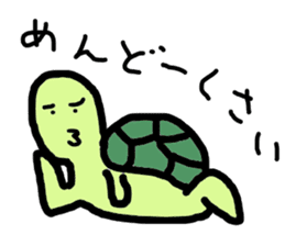 turtle boy sticker #6888380