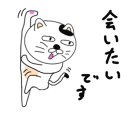 Kung Fu cats sticker #6888599