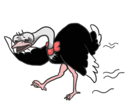 Ostrich Honpo sticker #6890815