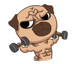 Buboo Yuyoo (Pug & Sphynx) sticker #6891070