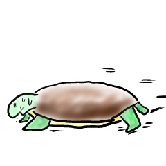 Every day of a tortoise English