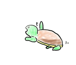 Every day of a tortoise English sticker #6892027