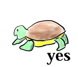 Every day of a tortoise  English sticker #6892032