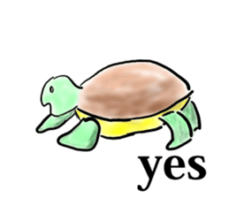 Every day of a tortoise English sticker #6892032