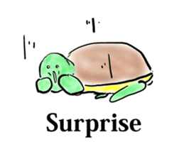 Every day of a tortoise  English sticker #6892033