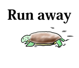 Every day of a tortoise  English sticker #6892034