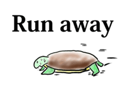 Every day of a tortoise English sticker #6892034