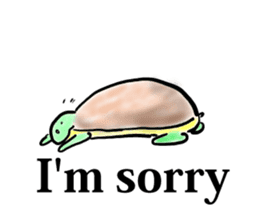Every day of a tortoise  English sticker #6892035