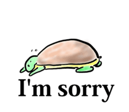 Every day of a tortoise English sticker #6892035