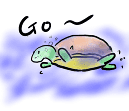 Every day of a tortoise English sticker #6892038