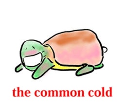 Every day of a tortoise  English sticker #6892039