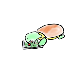 Every day of a tortoise  English sticker #6892041