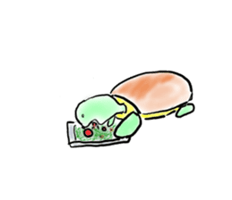Every day of a tortoise  English sticker #6892041