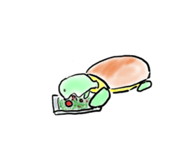 Every day of a tortoise English sticker #6892041