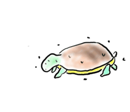 Every day of a tortoise  English sticker #6892045