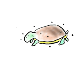 Every day of a tortoise English sticker #6892045