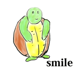 Every day of a tortoise  English sticker #6892048