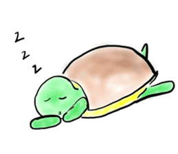 Every day of a tortoise  English sticker #6892057