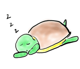 Every day of a tortoise English sticker #6892057