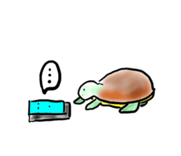 Every day of a tortoise  English sticker #6892058