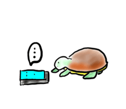 Every day of a tortoise English sticker #6892058