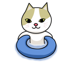 chiroru in summer sticker #6894108