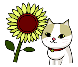 chiroru in summer sticker #6894128