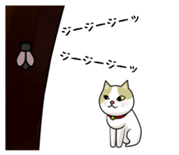 chiroru in summer sticker #6894129