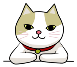 chiroru in summer sticker #6894141