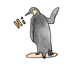 Little penguin by 154 sticker #6894472