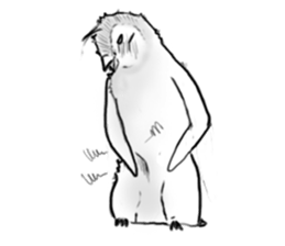 Little penguin by 154 sticker #6894485